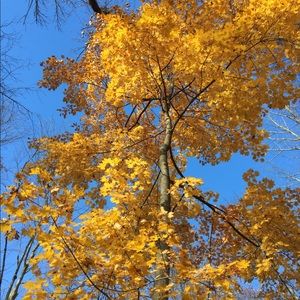 Meet your Posher, Regina